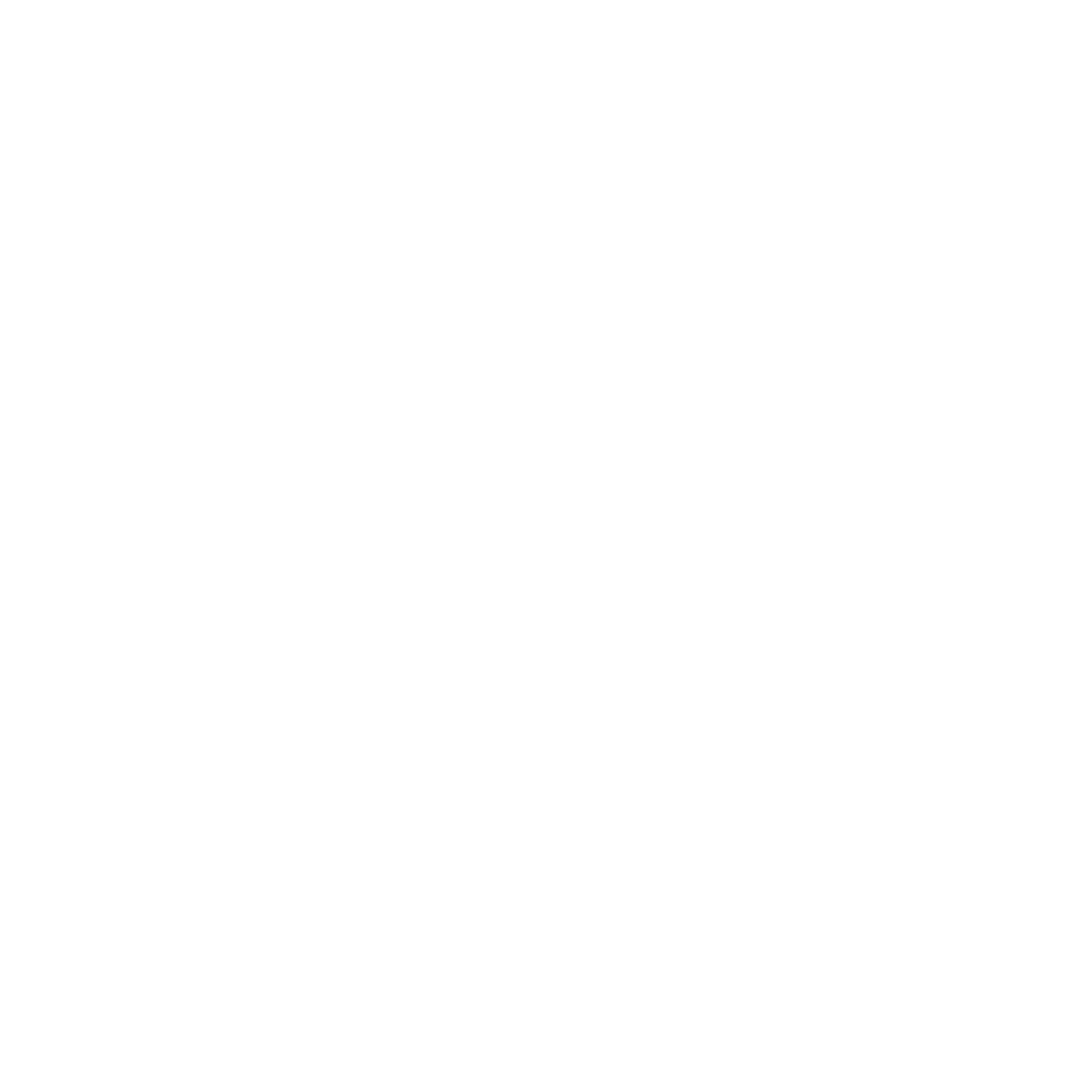 MIRROR experience