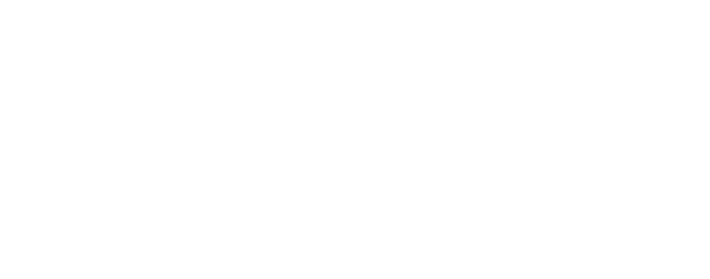 MIRROR experience