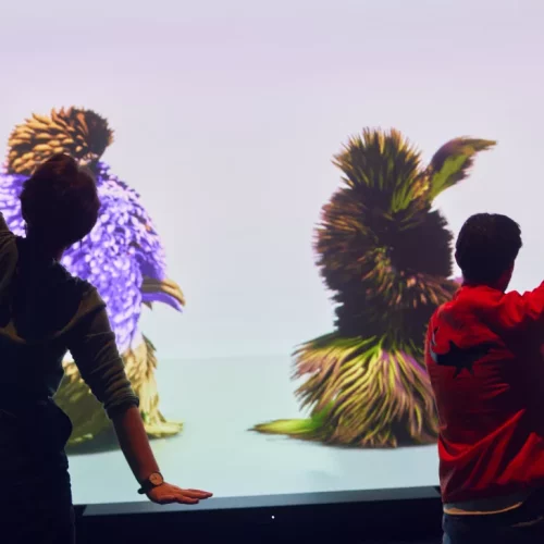 Kinfolk-by-Universal-Everything-in-Beings-at-ACMI-2024-image-by-Michelle-Tran_1-1094x730